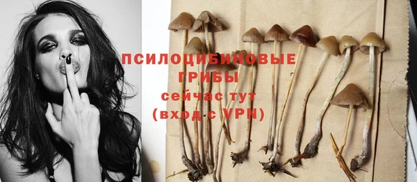 МДПВ Нягань