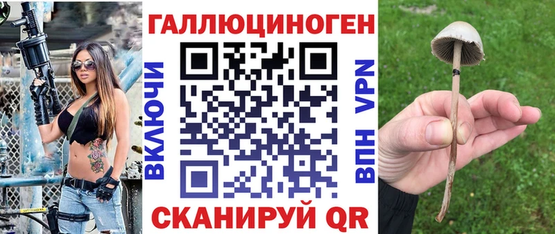 Галлюциногенные грибы MAGIC MUSHROOMS  купить наркотик  Алзамай 
