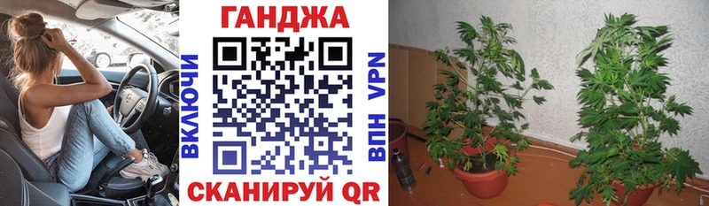 МАРИХУАНА план  Алзамай 